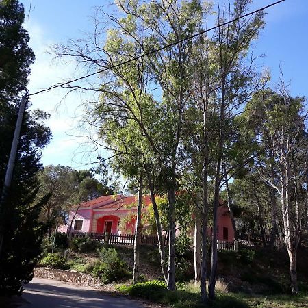 Casas Rurales Paraje el Cajal Ojós Exterior foto