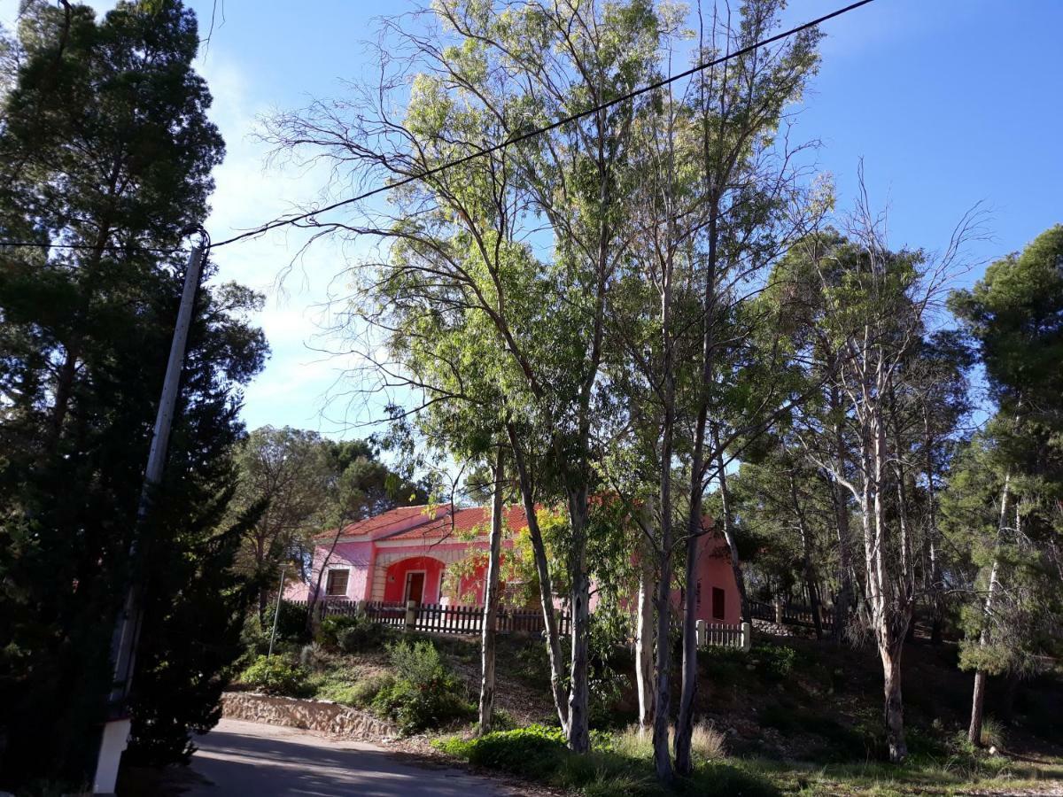 Casas Rurales Paraje el Cajal Ojós Exterior foto