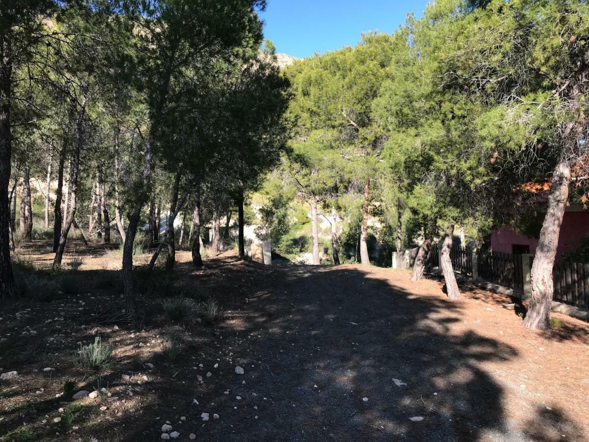 Casas Rurales Paraje el Cajal Ojós Exterior foto