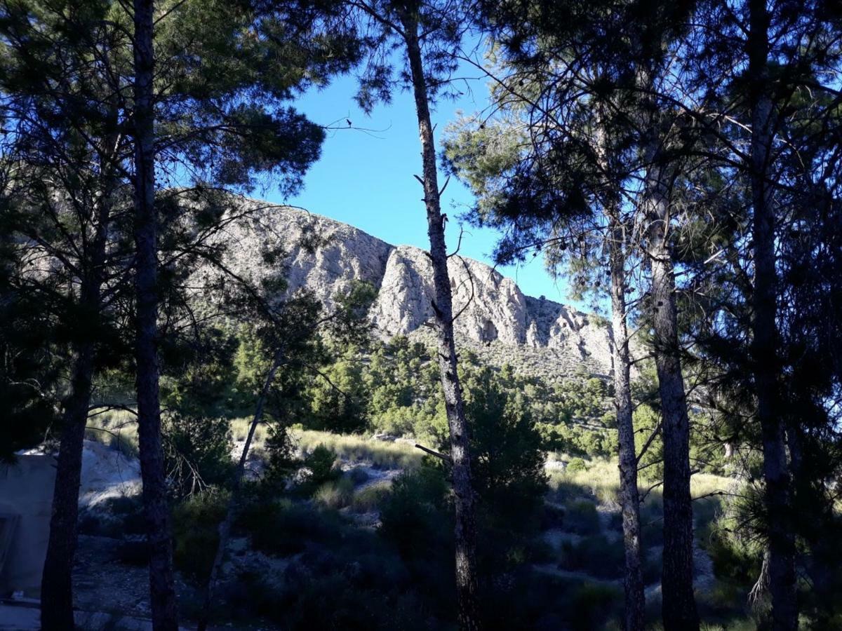 Casas Rurales Paraje el Cajal Ojós Exterior foto